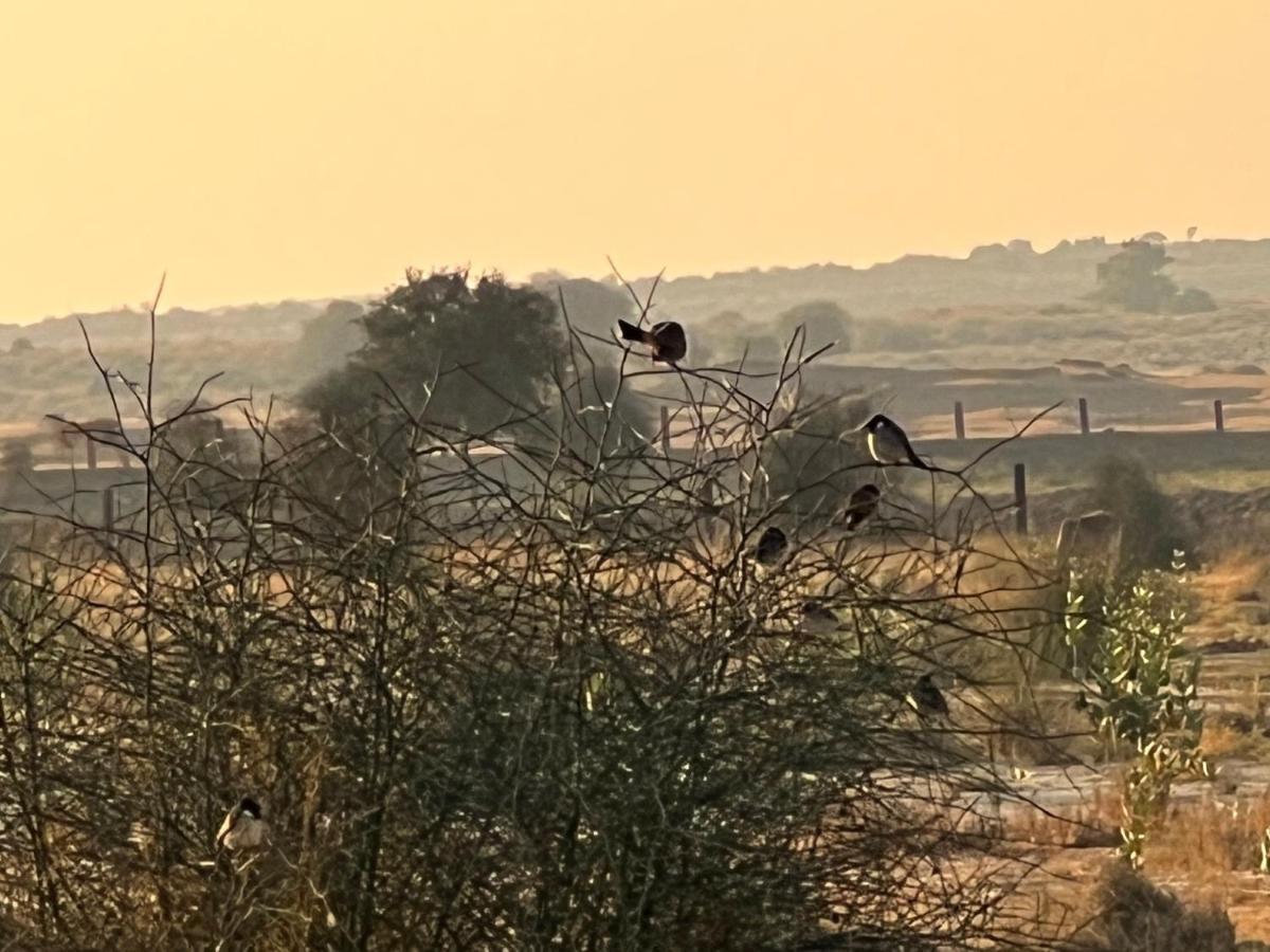 Golden villa Jaisalmer Eksteriør billede